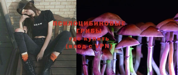 прущие крисы Армянск