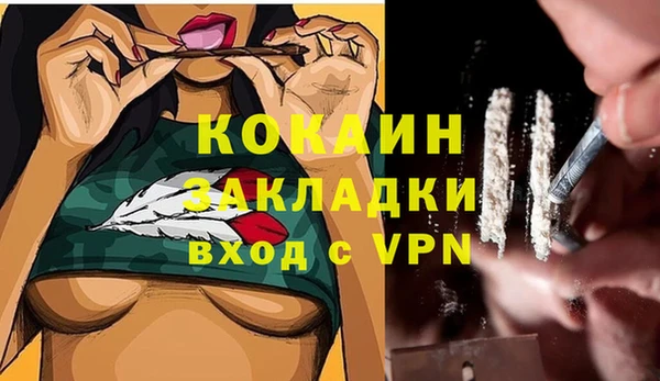 ПСИЛОЦИБИНОВЫЕ ГРИБЫ Арсеньев