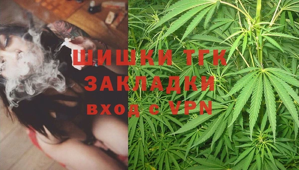 ПСИЛОЦИБИНОВЫЕ ГРИБЫ Арсеньев
