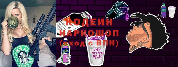 ПСИЛОЦИБИНОВЫЕ ГРИБЫ Арсеньев