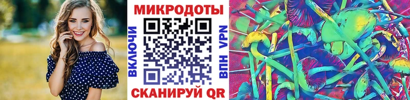 kraken зеркало Саки Псилоцибиновые грибы Psilocybine cubensis